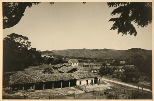 foto-2-vassouras-fazenda-pocinhos-hess.jpg